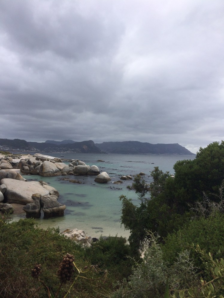 Boulder Beach. More spectacular than the penguins that inhabit it. 