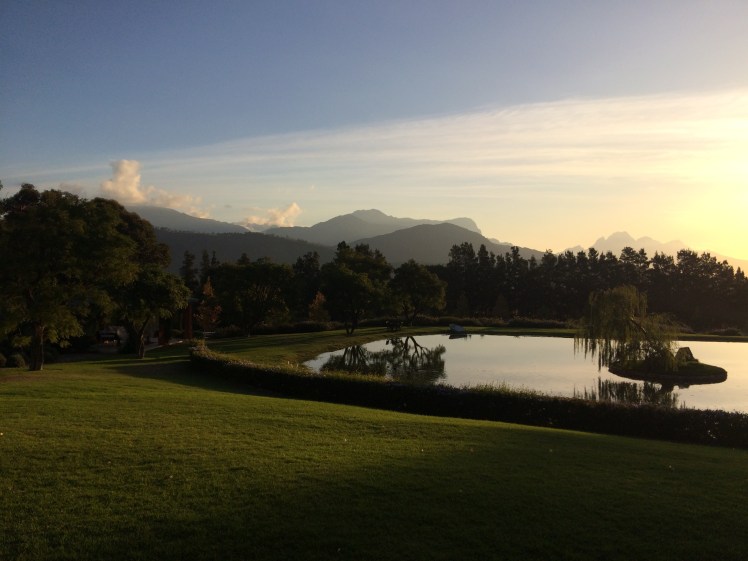 Saturday's sunset from the porch. I was heard Friday's was much better but SOMEONE didn't inform me until after the fact.