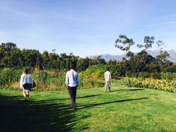 Strolling De Morgenzon.