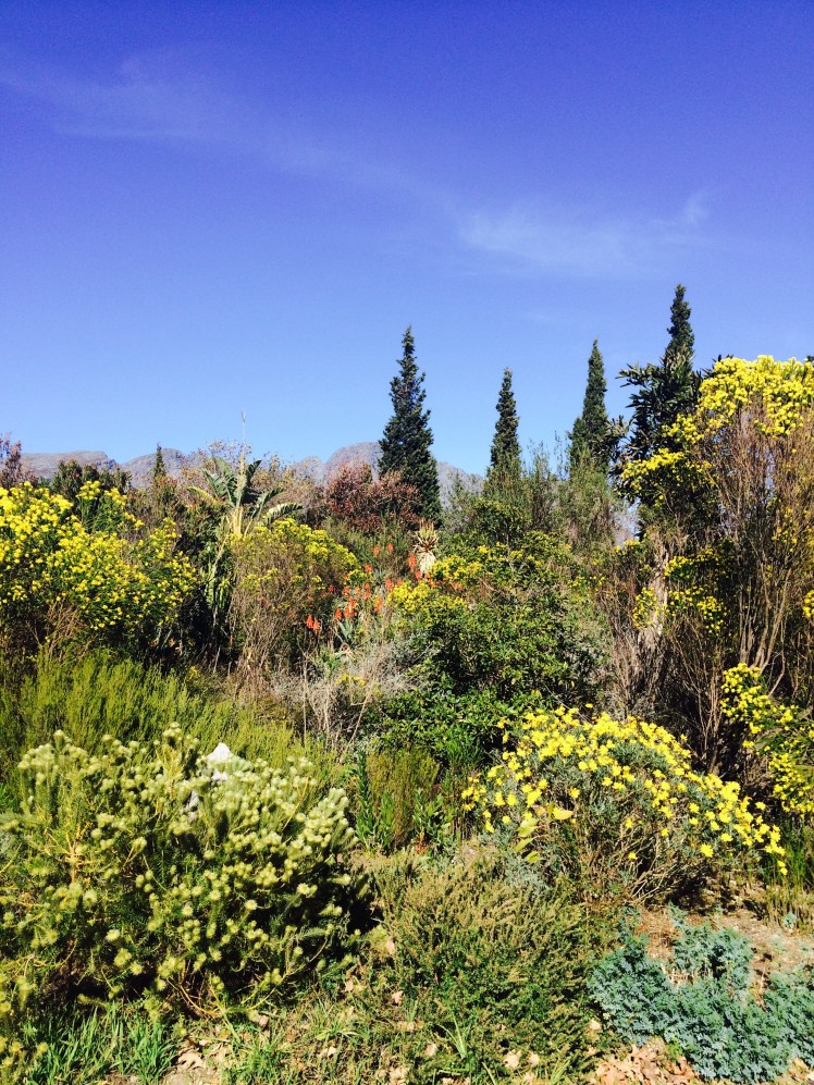 Huguenot Monument gardens.  