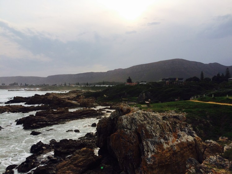 Will exercise for views. 