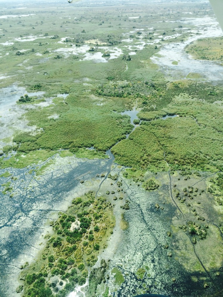 Aerial of the delta. 