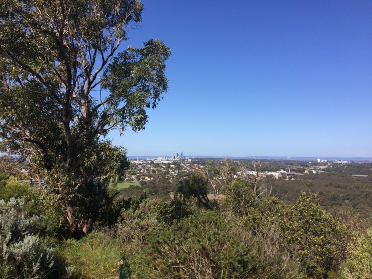 Perth from afar. See it? Sorry... I haven't been very good about taking pictures here. These are all you get for now.